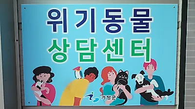 경기도, 위기동물 상담센터 전담 인력 지원