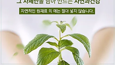 '자연과건강' 당뇨, 고혈압에 좋은 음식 및 약초 효능, 영양제 먹는 방법 가이드 소개