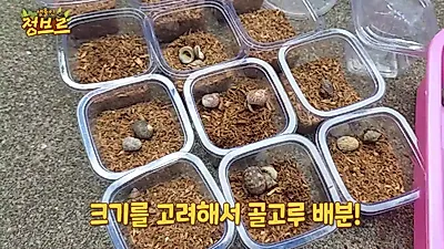 정브르 소라게, 추억의 문방구 사육 환경 재현해 초등학생들에게 선물