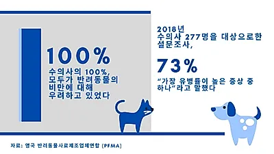 간식으로 애정표현? 반려동물 비만 위험 높인다