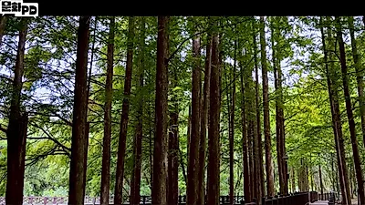 광주 여행, 지하철과 버스로 도심 문화 공간부터 생태공원까지 이동하는 코스