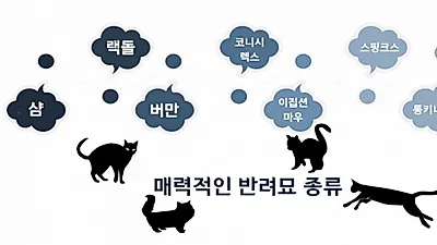 키우고 싶은 매력적인 고양이 품종