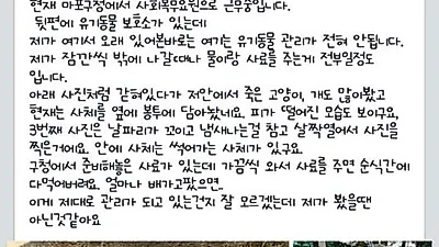 마포구 임시 유기동물보호시설, 비위생적인 시설과 관리소홀로 논란.