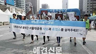 동물단체 케어, "박원순 시장님! 도축장에 팔려간 사슴과 흑염소를 살려주세요!"