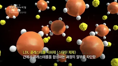 콜레스테롤 높을수록 챙겨먹어야 할 영양소는?