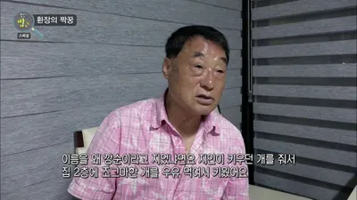 Kkangsun, la Jindo con 9 años de experiencia arreando pollos en una granja de Yangyang, Gangwon…