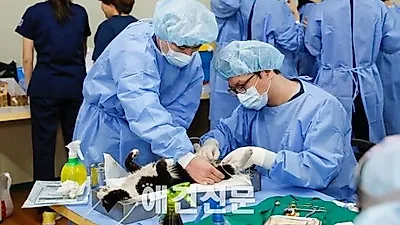 [포토뉴스] "내 반려묘처럼 신중히"