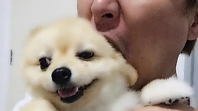허정민, 닮은 꼴 강아지 안고 "개귀여워"