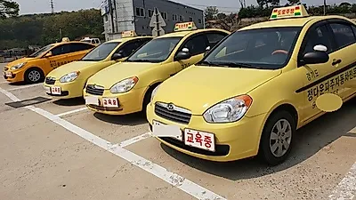 파주 정다운 운전면허학원, 고3 수험생 및 대학생 대상 단기 면허취득 과정 운영
