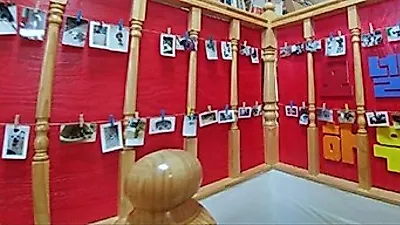 펫시팅·상담 받고 순해진 우리 강아지, 모넬로하우스의 1주년 이벤트
