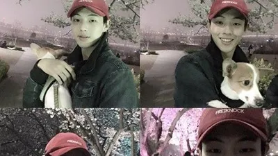 지수, 반려견과 벚꽃 나들이 인증샷 "참 좋다"