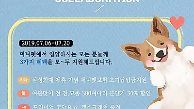 강남, 부천, 수원, 강아지/고양이분양 전문 ㈜미니펫, 삼성화재 애니펫보험 제휴 기념 이벤트 진행