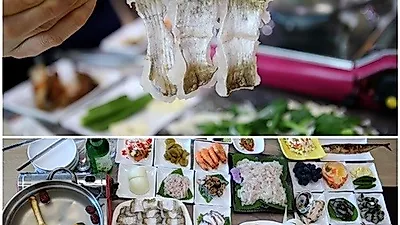남도섬에서 맛보는 여수맛집 중 가볼만한 '군산횟집'