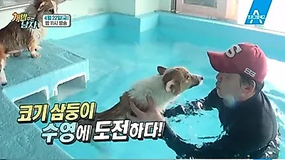 '개밥 주는 남자' 대중소, 숨겨둔 수영 실력 깜짝 공개