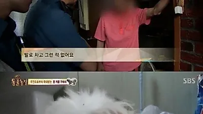 'TV 동물농장' 매일 밤 학대 받은 개…시력부터 골절까지 성한 곳 없어