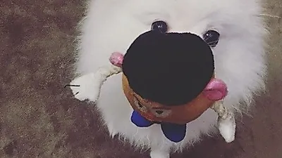 노민우, 미스터 포테이토 헤드 물고 '앙'