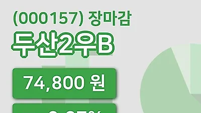 주식마감두산2우B 12일 74,800원 장종료...