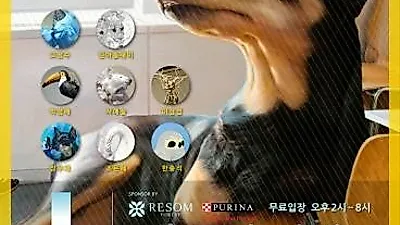 아뜰리에 터닝, 제4회 we are animalier 2015 개최