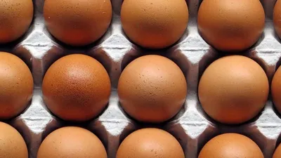 호주에서 계란 가격 인하, 자유방목 선호