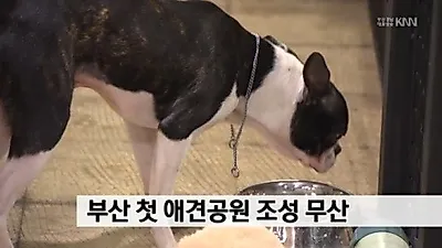 부산시, 최초 애견공원 무산 위기