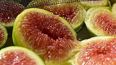 [건강과일]  버릴 것이 없는  꽃없는 과일 '무화과'의 효능은 과연?