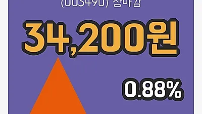 국내주식마감대한항공 15일 34,200원 장종료...