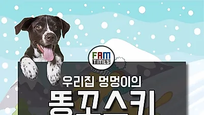 [카드뉴스]강아지 "똥꼬스키" 자세 정말 괜찮을까?