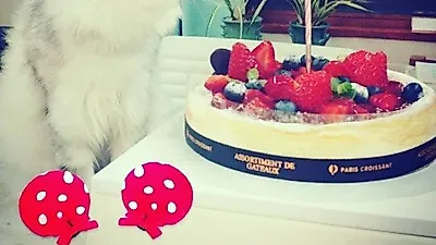 남규리, 반려묘 향한 남다른 애정 "생신 축하드려요"