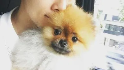 이규한, 닮은 꼴 강아지 껴안고 "사우나 잘하고와"