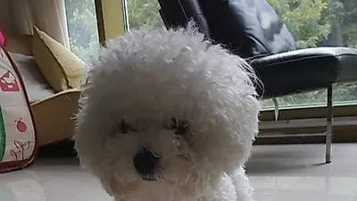 박명수, 오랜만에 포도 모습 공개 '귀여움 여전'