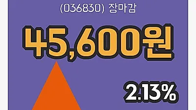 솔브레인 4일 45,600원 마감보고