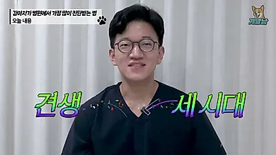 강아지 22만 건 진료 기록 분석, 나이대별로 병원 찾는 이유 달라