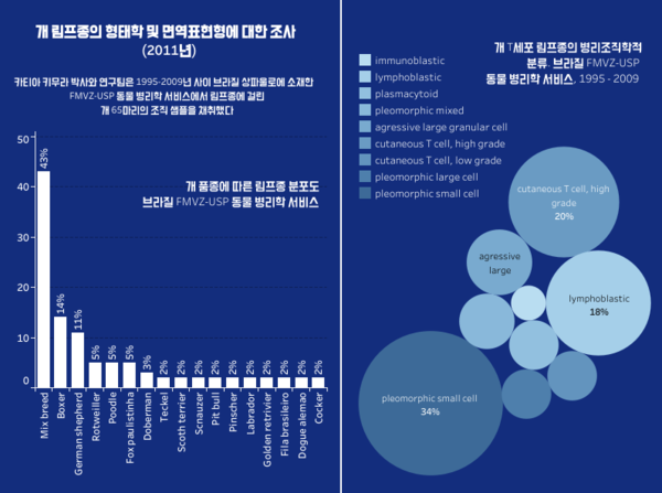노령견일수록 위험 ‘개 림프종’ 대표 증상과 치료법