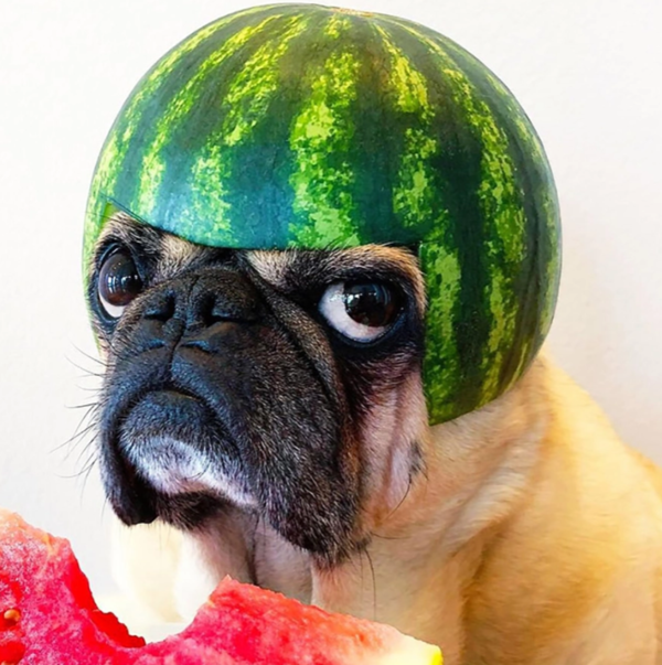 ▲(출처=Splitpics UK)