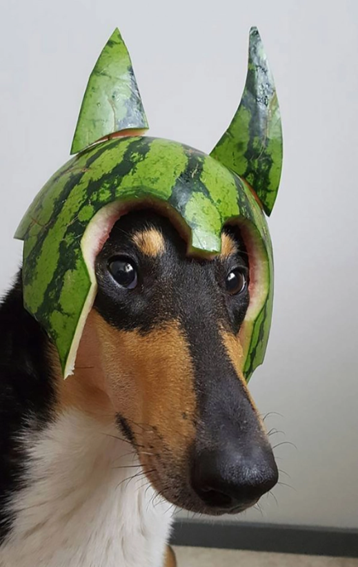 ▲(출처=Splitpics UK)