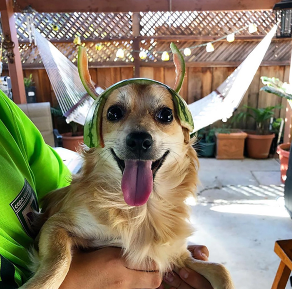 ▲(출처=Splitpics UK)