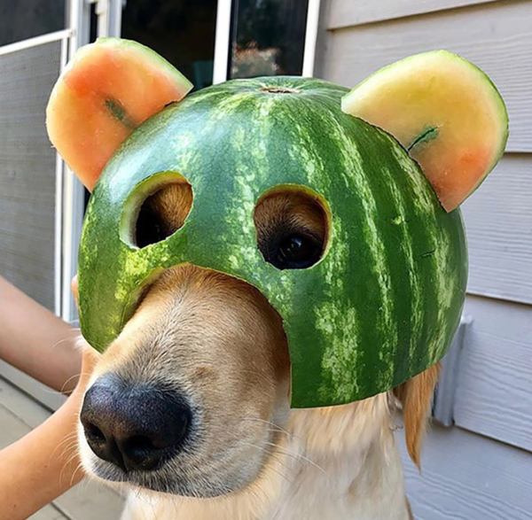 ▲(출처=Splitpics UK)