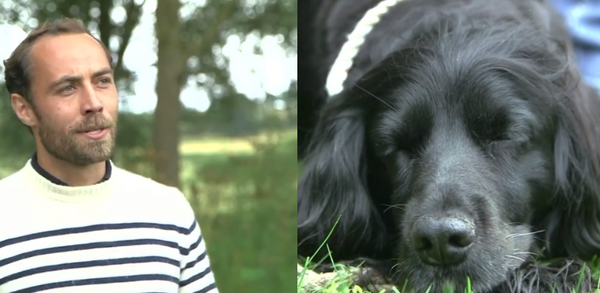  제임스 미들턴은 자신의 반려견 '엘라' 덕분에 우울증을 극복할 수 있다고 밝혔다. ​​​​​​​​​​​​​​ (사진출처 = 제임스 미들턴 인스타그램)