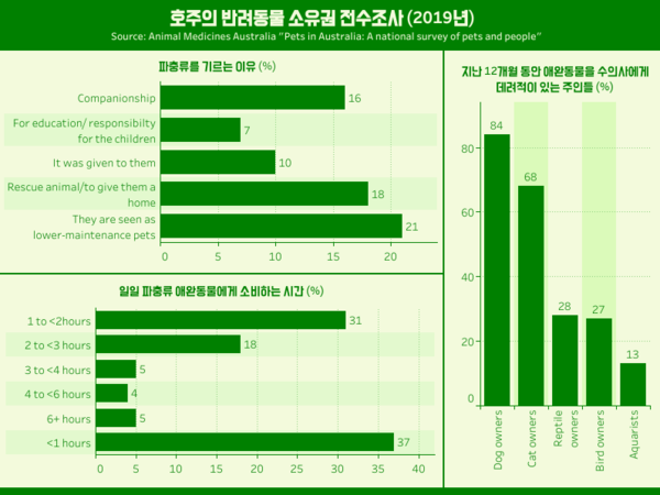 도마뱀·개구리 키우는 이유? “유지 관리 쉬워서”