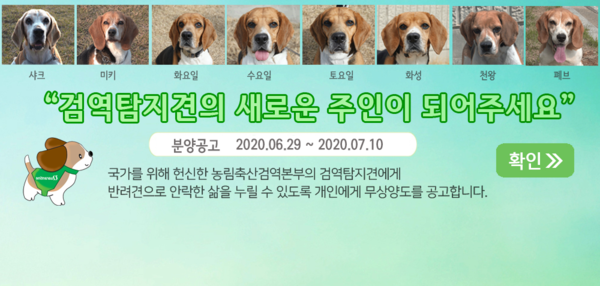 지난 6월 검역본부가 발표한 검역탐지견의 입양 공고 (사진 = 농림축산검역본부 홈페이지)