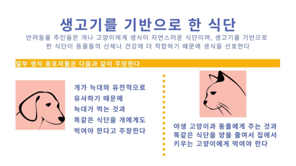 반려동물에게 먹이는 생식, 얼마나 안전할까?