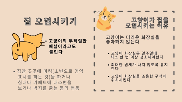 ''꺄옹이'가 화장실 아닌 ‘다른 곳’에 배변하는 이유