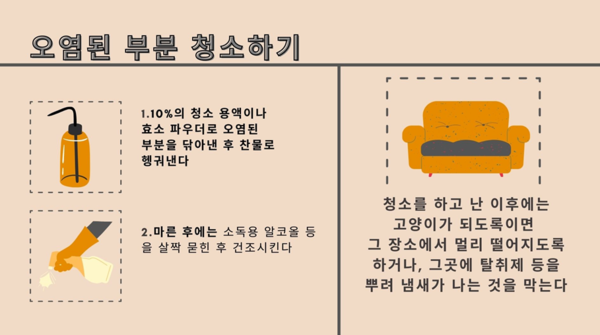 ''꺄옹이'가 화장실 아닌 ‘다른 곳’에 배변하는 이유