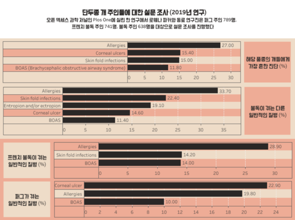 [연구] 단두종 키우는 반려인 “알레르기 진단 많아”