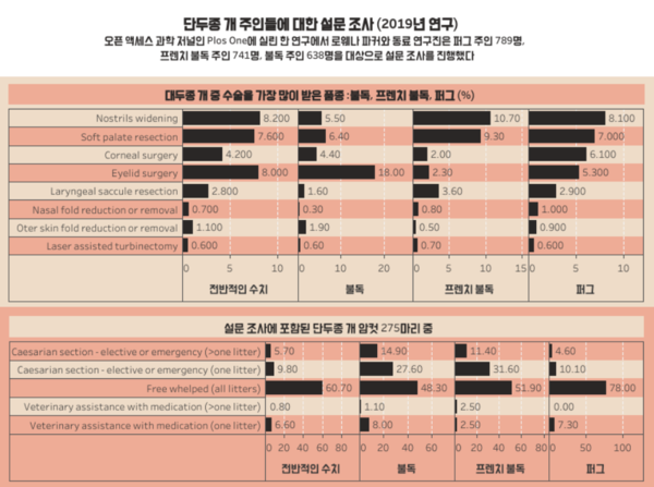 [연구] 단두종 키우는 반려인 “알레르기 진단 많아”