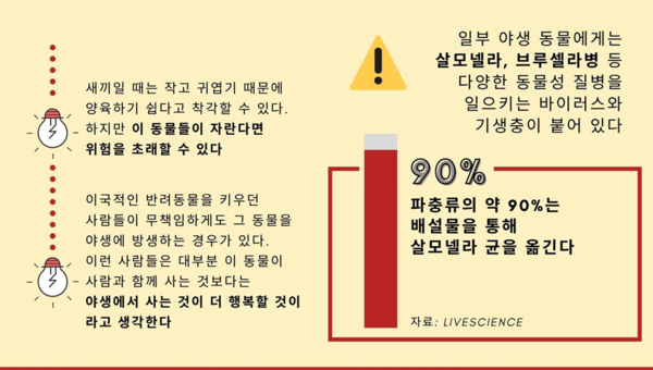 특이해서 키운다? 야생동물 키우면 안 되는 이유