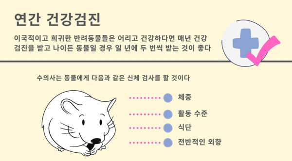 개·고양이 外 반려동물로 적합한 작은 동물 BEST4