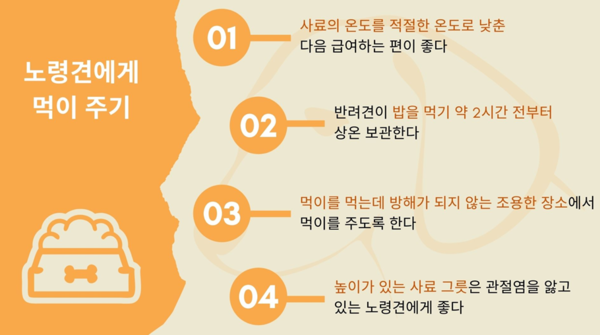 “나이 따라 필요한 영양소 다르다” 노령견 건강 지키는 식단