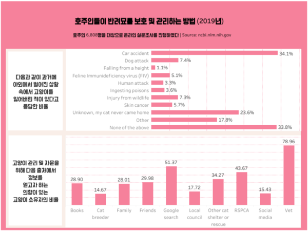 반려묘 입양 시 고려해야 할 요소 5가지