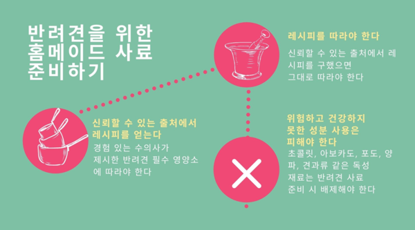 직접 만든 ‘홈메이드’ 사료 ‘시판’ 보다 좋을까?